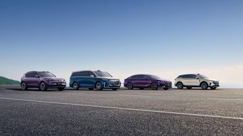 嵐圖汽車(chē)謀變 產(chǎn)品與技術(shù)雙輪驅(qū)動(dòng)，沖刺港股奔赴新戰(zhàn)場(chǎng)