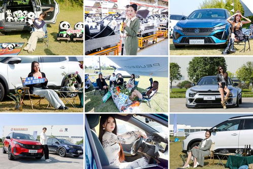 雙十一搞廠家直銷，壕禮連送12天，這家法系車企愛了愛了！